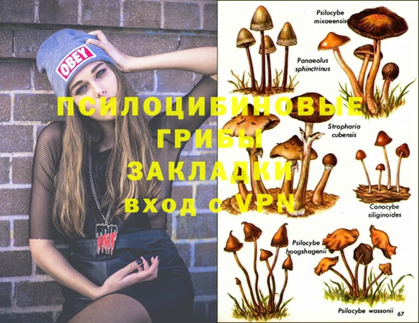 герыч Верея