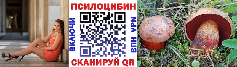 shop формула  Мостовской  mega   Псилоцибиновые грибы Psilocybe  где купить наркоту 